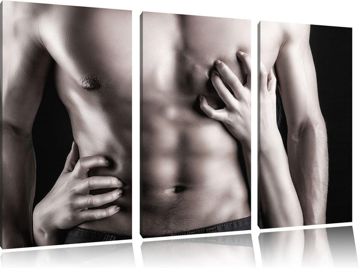 Pixxprint muskulöser Waschbrettbauch B&W Detail 3-Teiler Leinwandbild 120x80 Bild auf Leinwand