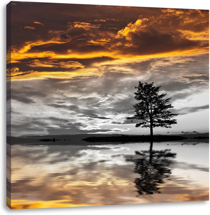 Pixxprint einsamer Baum auf Wiese schwarz/weiss, Format: 70x70 auf Leinwand, 70x70