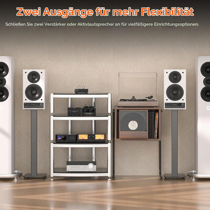 Douk Audio Röhrenvorverstärker MM Phono-Stufe HiFi Stereo-Vorverstärker mit Tiefpassfilter, Subwoofe