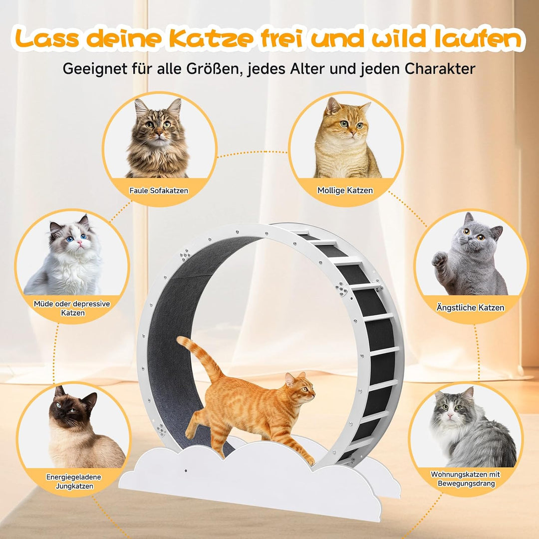 GTPLAYER Katzenlaufrad, laufrad Katze, Extra grosser 100 cm, ultraleises Laufrad mit Abnehmbarer Tep