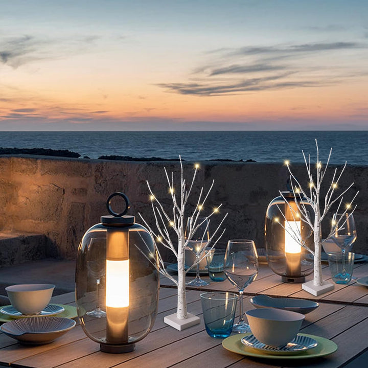 2er Set Lichterbaum Lichterzweige für Innen 24 Warmweiss LEDs Bäumchen Birken Dekozweige Batteriebet