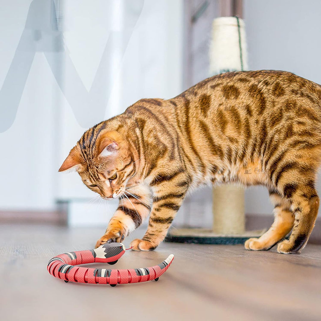 Syfunlv Ferngesteuerte Schlange Elektrisches Spielzeug, USB aufladbar Interaktives Katzenspielzeug m