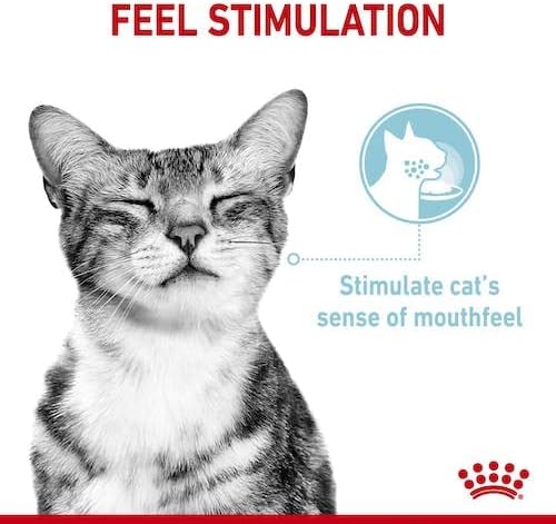 Royal Canin Sensory Feel Jelly | Doppelpack | 2 x 12 x 85 g | Nassfutter für ausgewachsene Katzen |