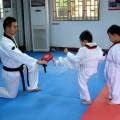 Yosoo 1 Paar Taekwondo Trainingsgeräte Taekwondo Pratze Tae Kwon Do Pratze Schlagkissen Handpratze T
