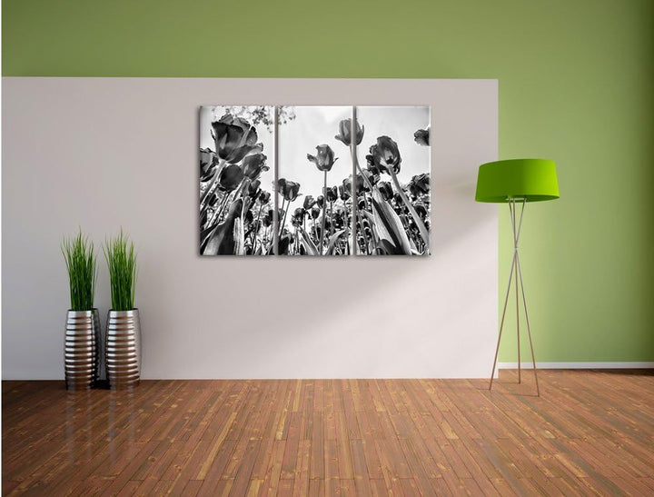 Pixxprint Rosenfeld als Leinwandbild/Grösse: 3 Teilig (120x80) cm/Wandbild/Kunstdruck/fertig bespann