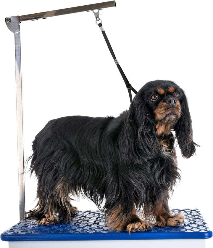 Haustier-Schlingen-Schlaufe - Fellpflege-Set für Hunde Hundesalon Werkzeughalter für Hundesalon Tisc