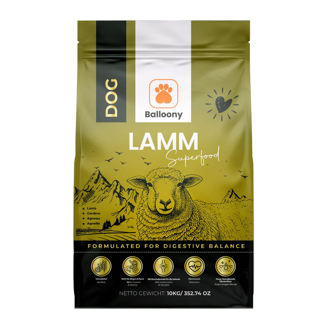 Hypoallergen | Getreidefreies Hundefutter trocken | Lamm & Reis | Magen schonend für ernährungssensi