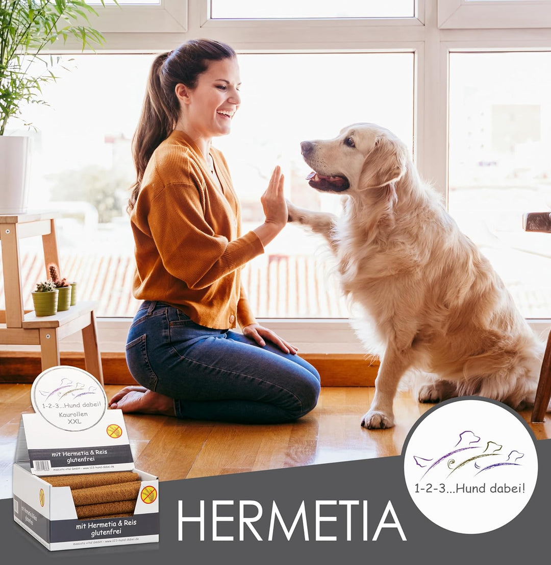 123... Hund dabei! - Kaurollen XXL 50er Tray (Hermetia/Insekten) - Dentalkaurolle - Glutenfrei - Vor