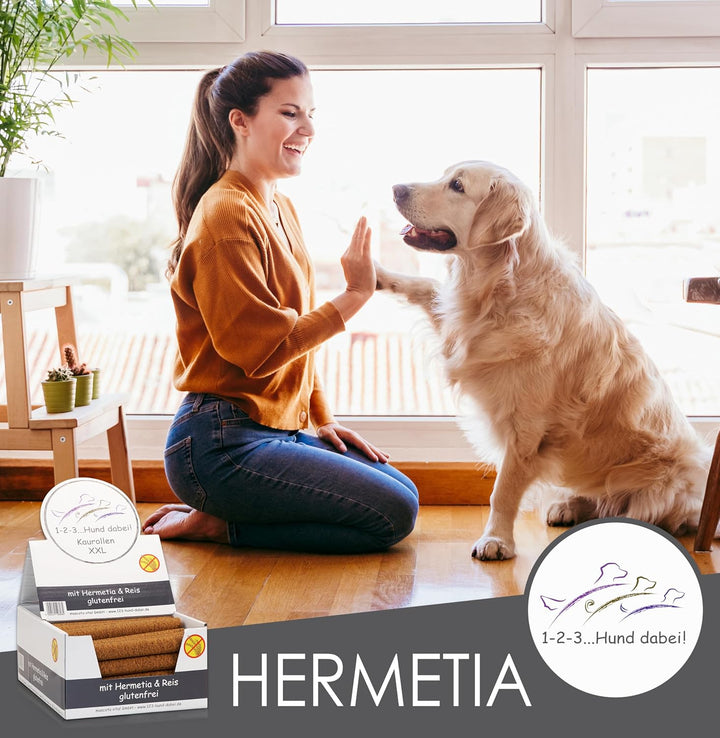 123... Hund dabei! - Kaurollen XXL 50er Tray (Hermetia/Insekten) - Dentalkaurolle - Glutenfrei - Vor