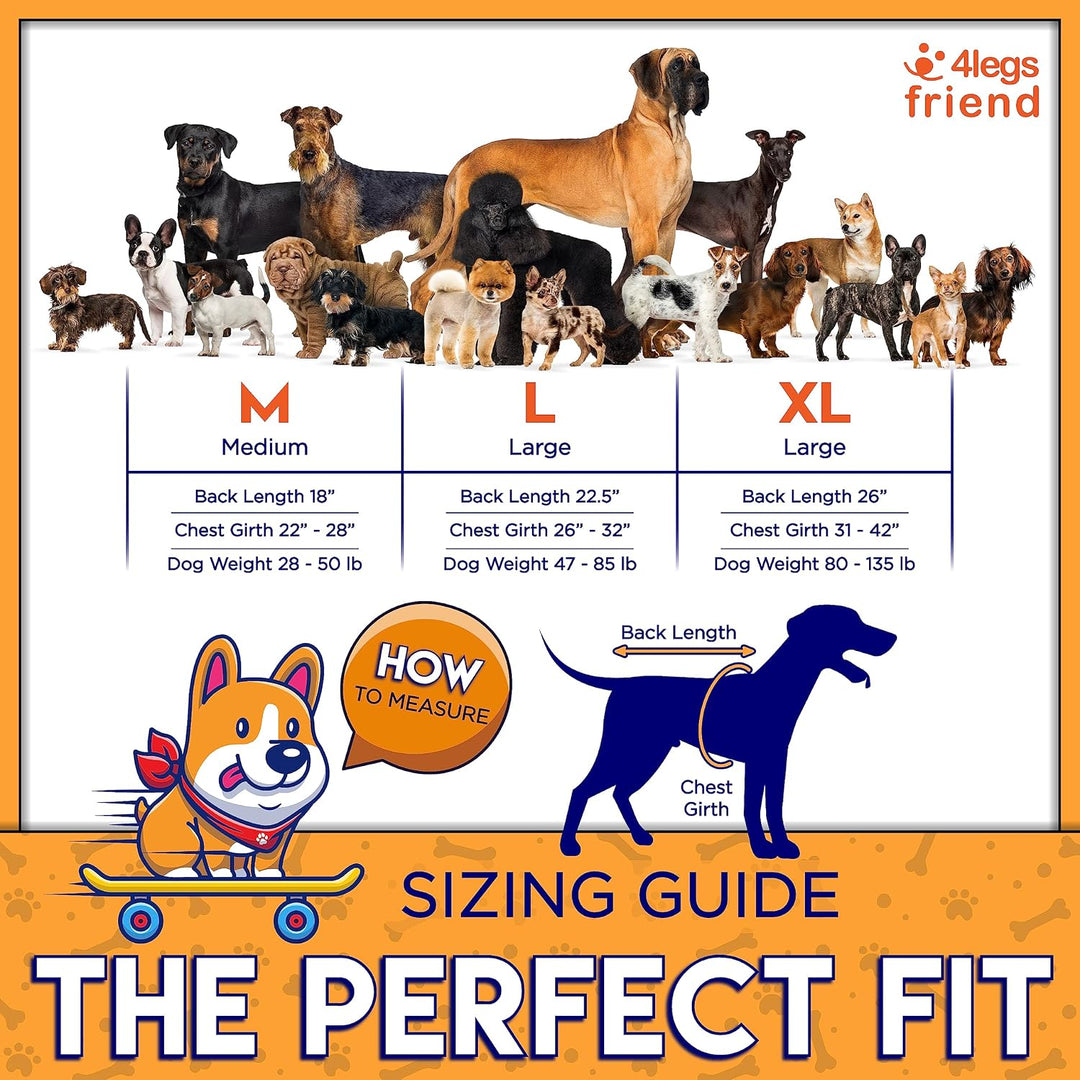 4LegsFriend Kühlweste für Hunde - Atmungsaktive &amp; Verdunstungsweste für heisse Sommertage - Verstell