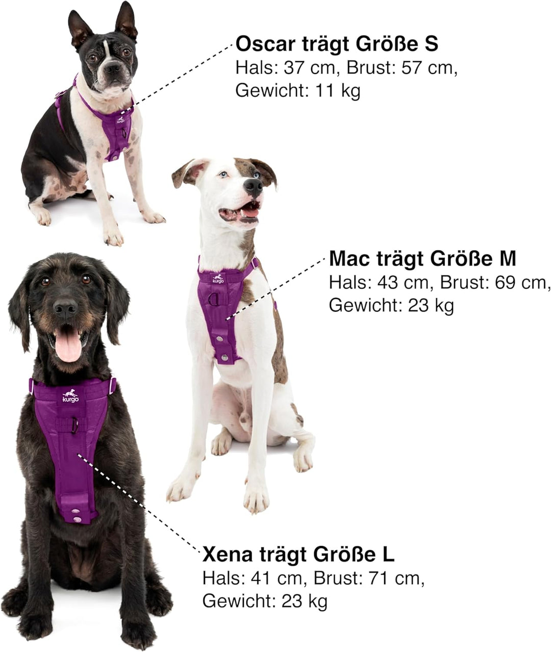 Kurgo Tru-Fit Hundegeschirr, Crash-Test-erprobtes Auto-Sicherheitsgurt, Für Hunde von 2 bis 5 kg, Gr