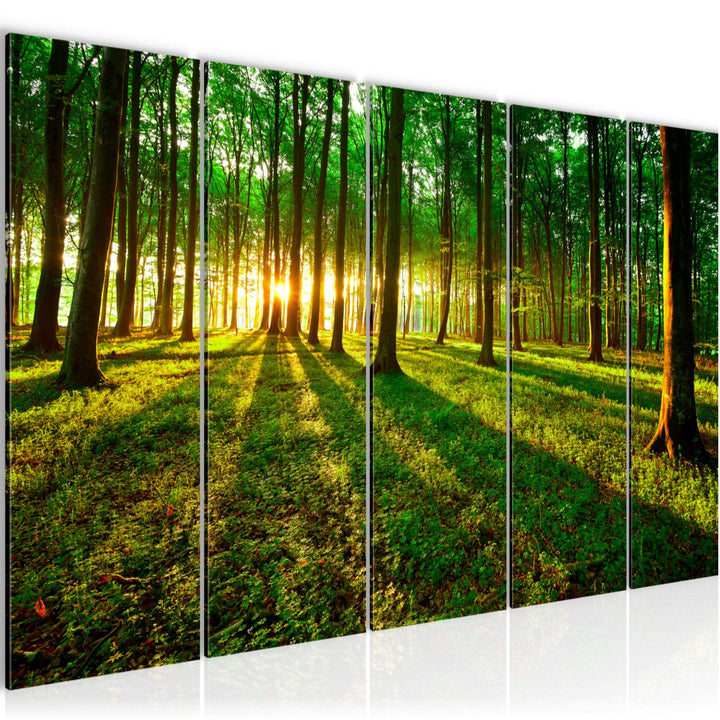 Runa Art Bild Wald Landschaft Wandbilder auf Vlies Leinwand 5 Teilig Wanddekoration Schlafzimmer Woh