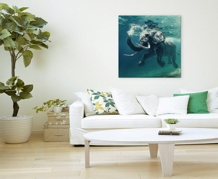 Sinus Art Wandbild 90x90cm Tierfotografie – Schwimmender Elefant unter Wasser, 90x90cm