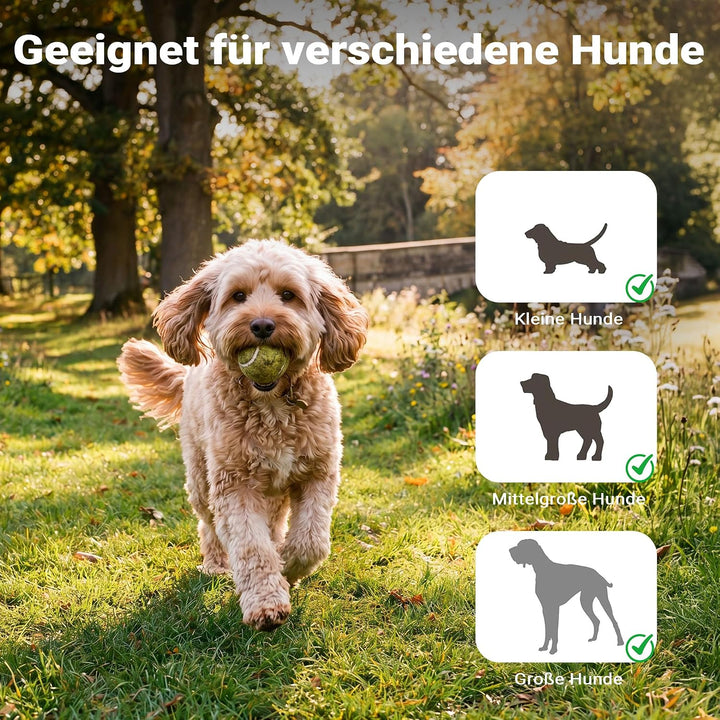 Wiltec Hunderampe 153 x 40 cm 50 kg 3-Fach faltbar rutschfeste Autorampe für Hunde, klappbare Einsti