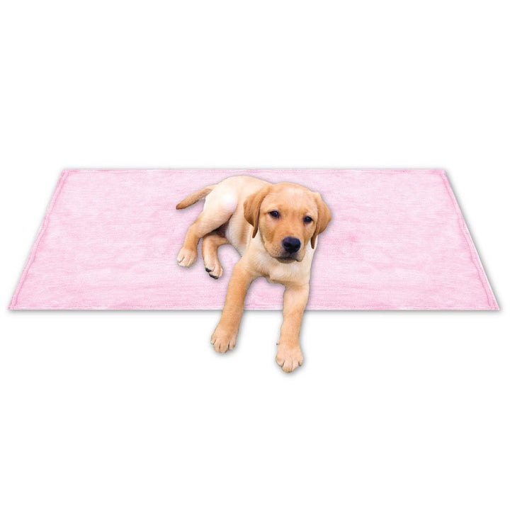 Bestgoodies Tierdecke Haustierdecke Kuscheldecke Hundebett Katzendecke (Kuschel - Supersoft / 90x140