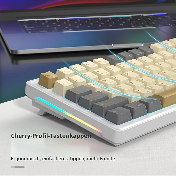 SOLIDEE Verkabelte Mechanische Gaming Tastatur 75 Prozent, Hot-Swap-Fähig Mit Gasket Struktur, RGB H