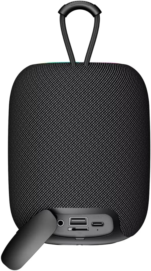 Canyon Bluetooth Speaker BSP-8 schwarz