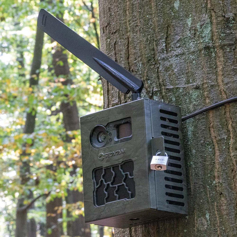 SECACAM Metallgehäuse Pro Plus grün-texturiert - Wildkamera Gehäuse Schutzgehäuse Tierkamera