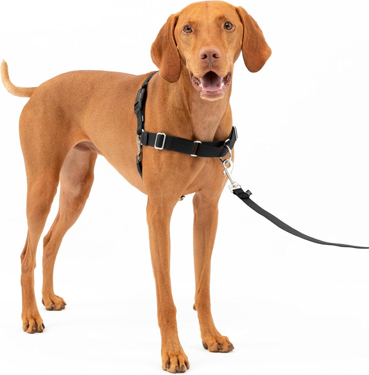 PetSafe Easy Walk-Geschirr, Anti-Zieh-Hundegeschirr, Verringert Würgen und Husten, Mit 1,8 M Leine,