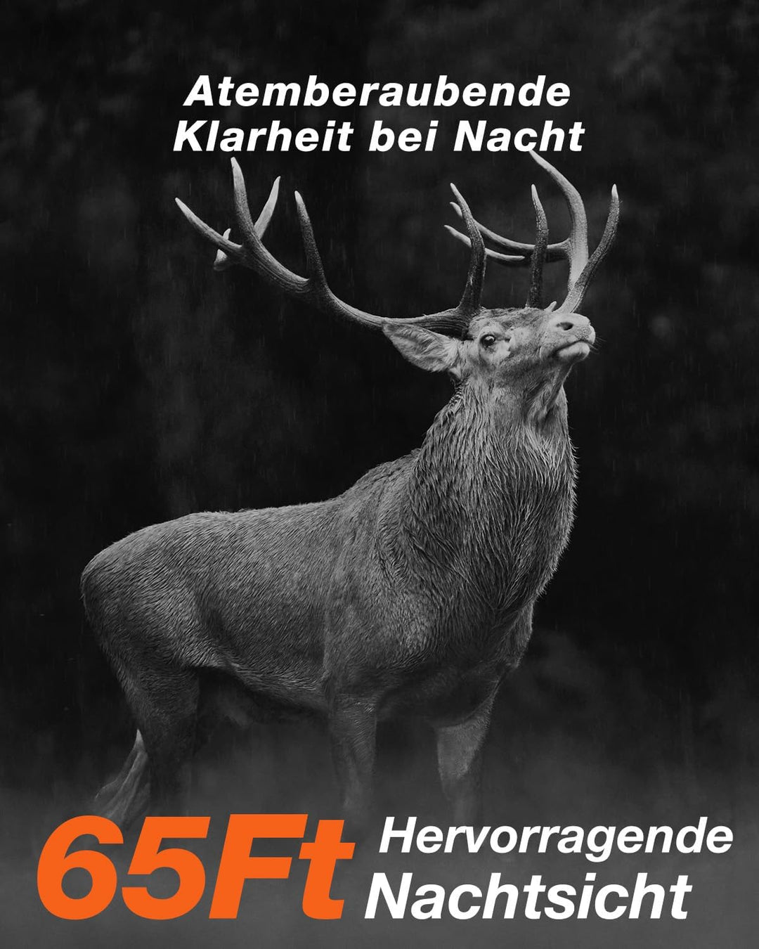 iZEEKER Solar Wildkamera 4K 64MP mit Handyübertragung App, WLAN & Bluetooth Wildtierkamera mit Beweg