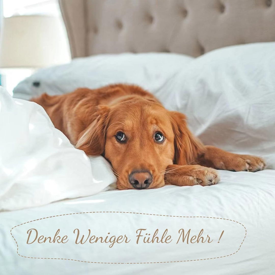 SOULFUL Bettwäsche 135x200 Baumwolle 2 Teilig, Bettwäsche-Sets Dunkelgrau2 mit Reissverschluss, Ähnl