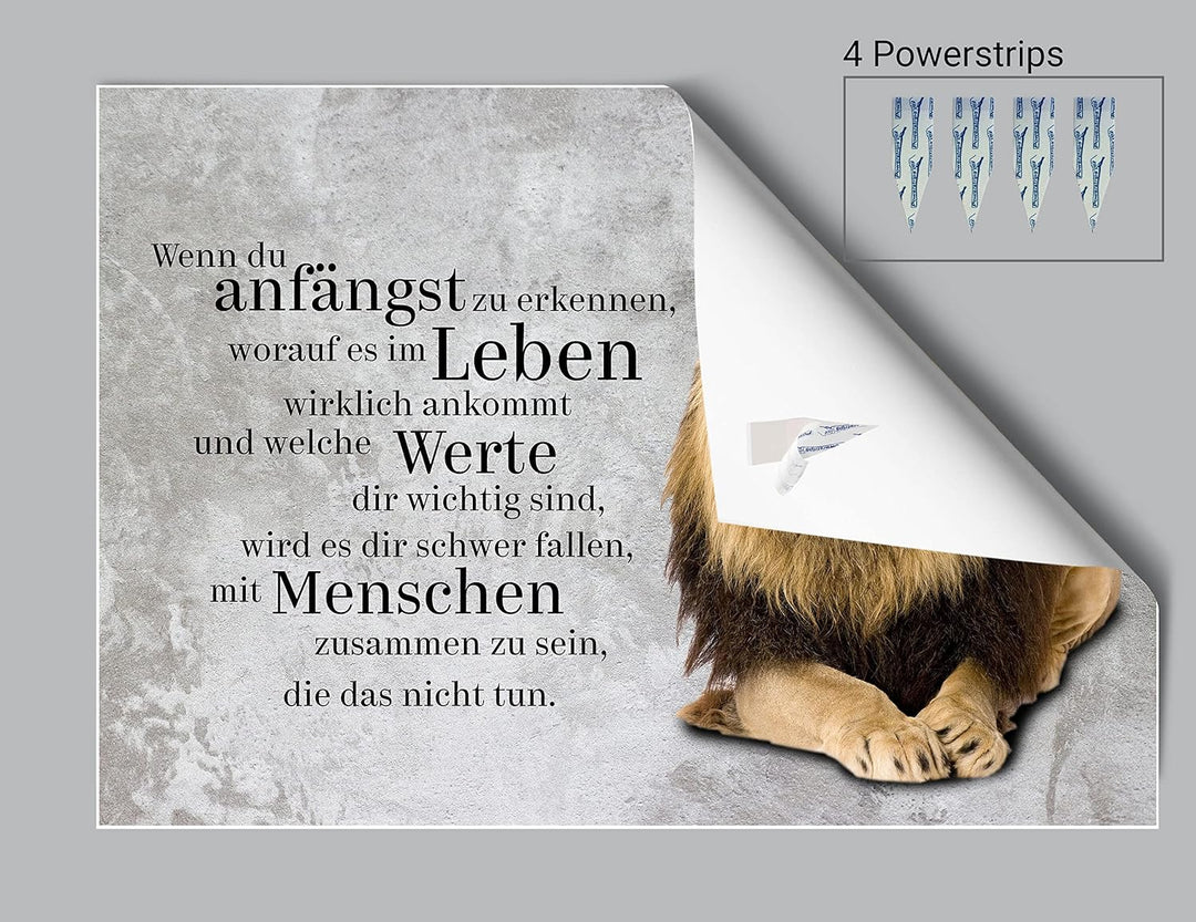 wandmotiv24 Poster als Wanddeko, Grösse 100x70cm, Werte, Löwe, Beton, Grunge, Moderne Wanddeko, Wand