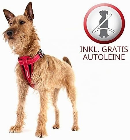 EzyDog Hundegeschirr Auto mit Sicherheitsgurt, Brustgeschirr Hund, Sicherheitsgeschirr Hund, &