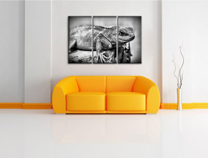 Pixxprint kleine grüne Eidechse als Leinwandbild/Grösse: 3 Teilig (120x80) / Wandbild/Kunstdruck/fer