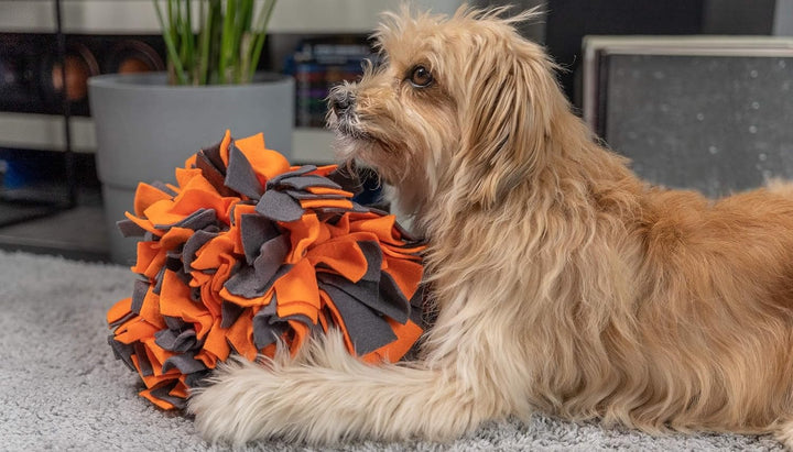 TrendPet Schnüffelball - 25cm Durchmesser, Aktivspielzeug für Hunde, Orange, Orange