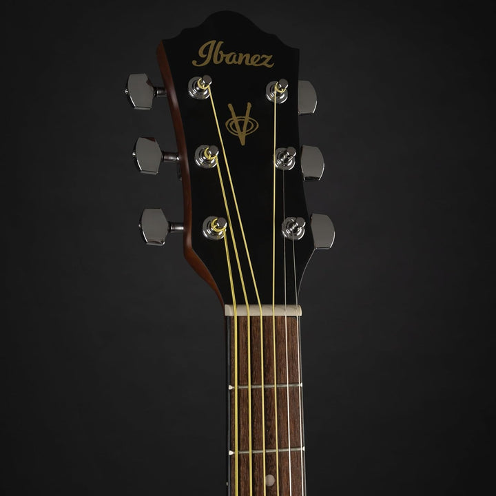 Ibanez V54NJP-OPN Jampack Series - Acoustic Guitar Kit - Open Pore Natural