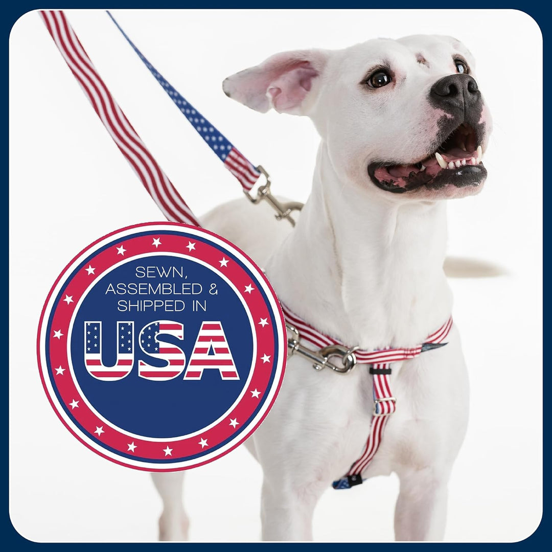 2 Hounds Design Freedom Hundegeschirr und Trainingsleine gegen Ziehen, doppelte Leinenschlaufen, gef