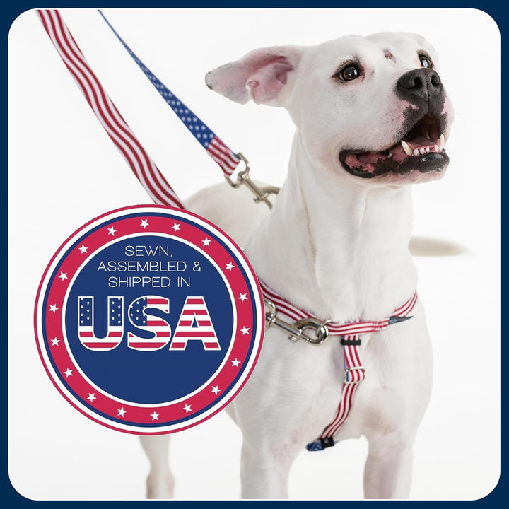 2 Hounds Design Freedom Hundegeschirr und Trainingsleine gegen Ziehen, doppelte Leinenschlaufen, gef