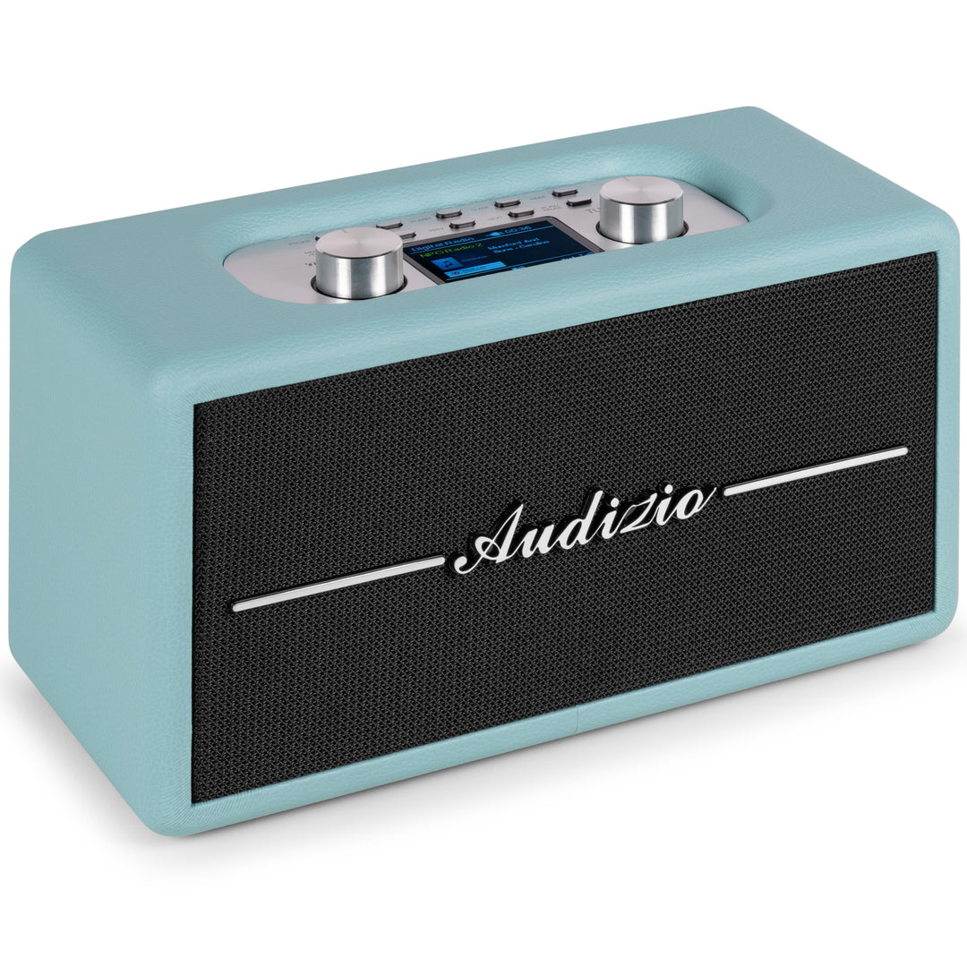 Audizio Tune60, DAB Radio mit Bluetooth Lautsprecher, Fernbedienung, FM, 40 Watt, Batterie- Netzbetr