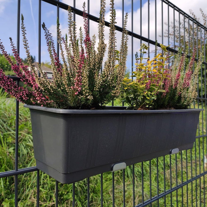 ZAUNIVERSUM Blumenkastenhalter für Ihren Doppelstabmattenzaun - Die Neue Blumenkastenhalterung