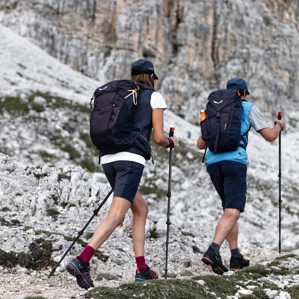 Salewa Damen Hiking Shorts Isea Dry W Shorts M Grau, M Grau