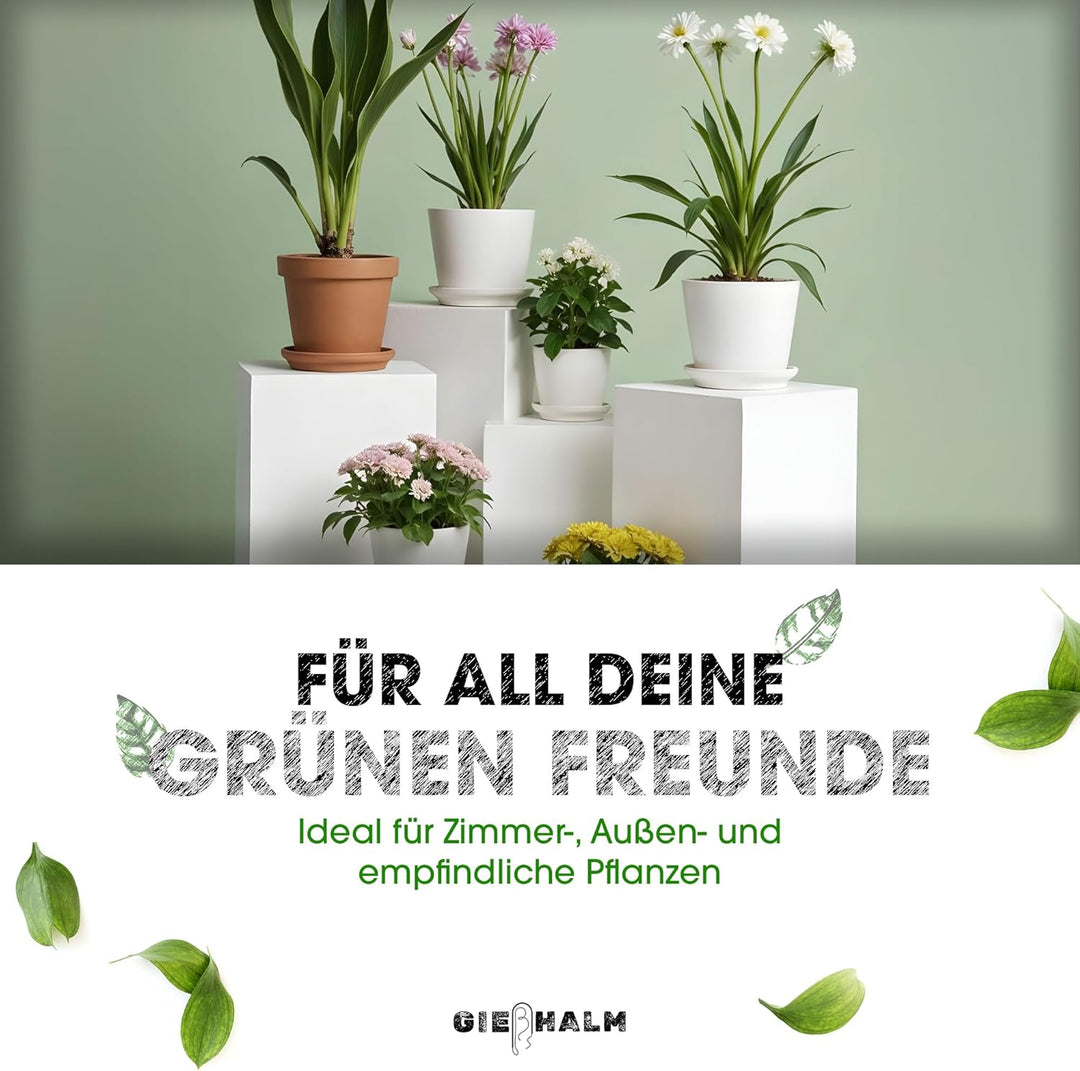 zuverlässige Bewässerung von Zimmerpflanzen, elegantes Design, gleichmässige Wasserzufuhr (Messing,