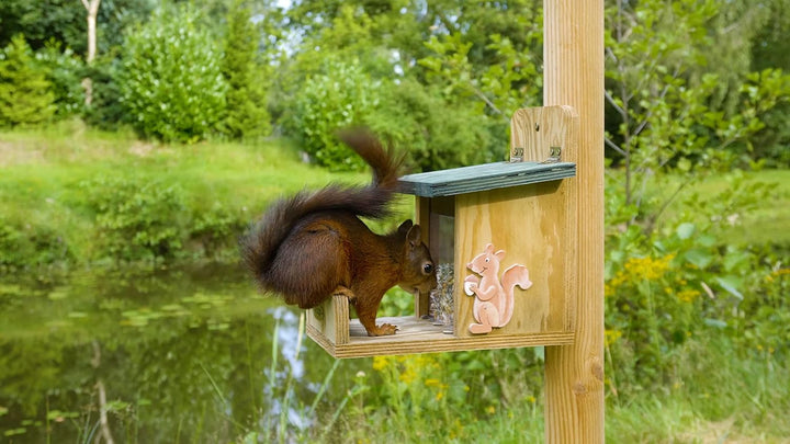 dobar® 22219e Eichhörnchenfutterstation - Eichhörnchen Futterhaus Massivholz - Futterbox zum Eichhör