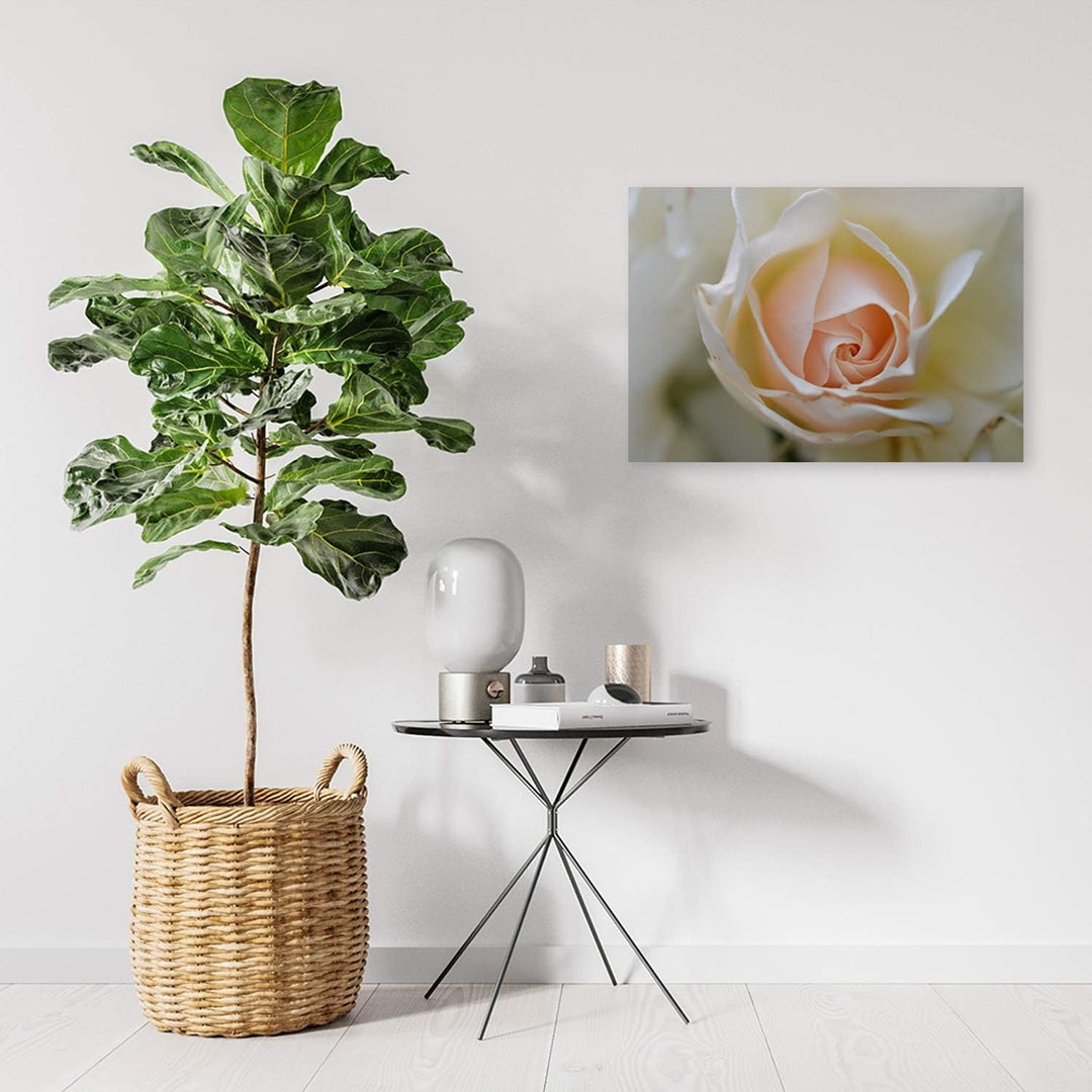 Feeby Leinwandbild Blume Bild Kunstdruck Natur Beige 70x50 cm M14564 70x50 cm, M14564 70x50 cm