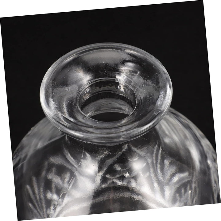 MAGICLULU Whisky Karaffe Glas Mit Elegantem Glasverschluss Transparenter Dekanter Für Brandy Whiskey