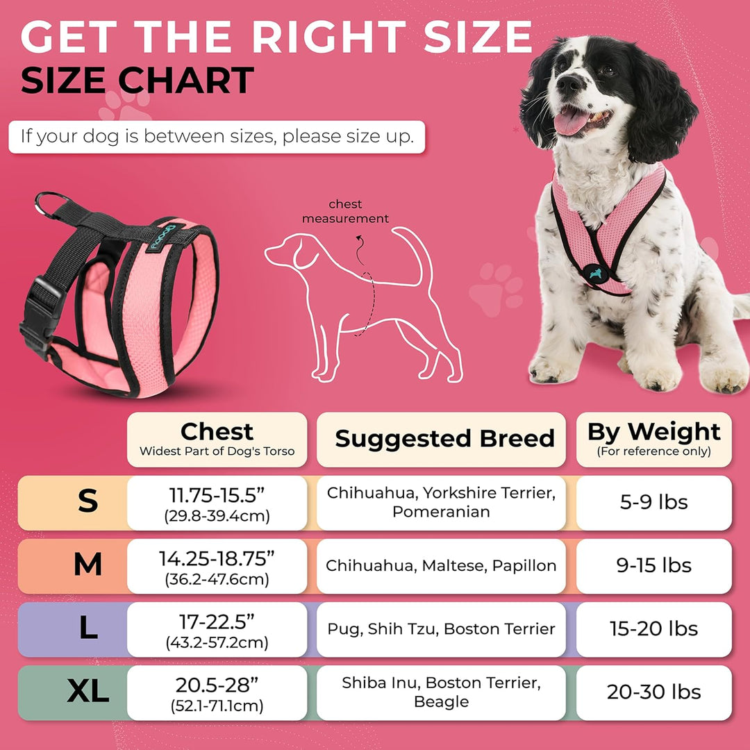 Comfort X Head in Harness – Rosa, Klein – No Pull Kleines Hundegeschirr Patentierter Würgefreier X-R