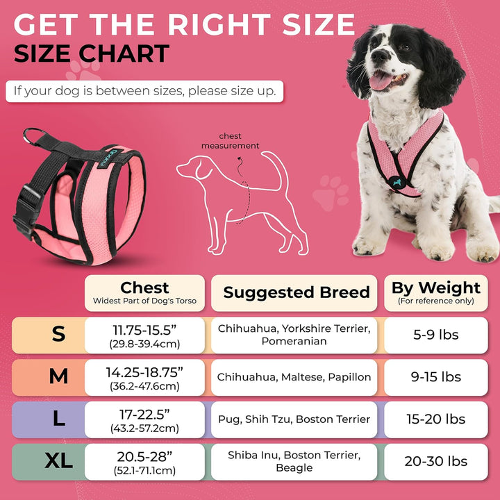 Comfort X Head in Harness – Rosa, Klein – No Pull Kleines Hundegeschirr Patentierter Würgefreier X-R