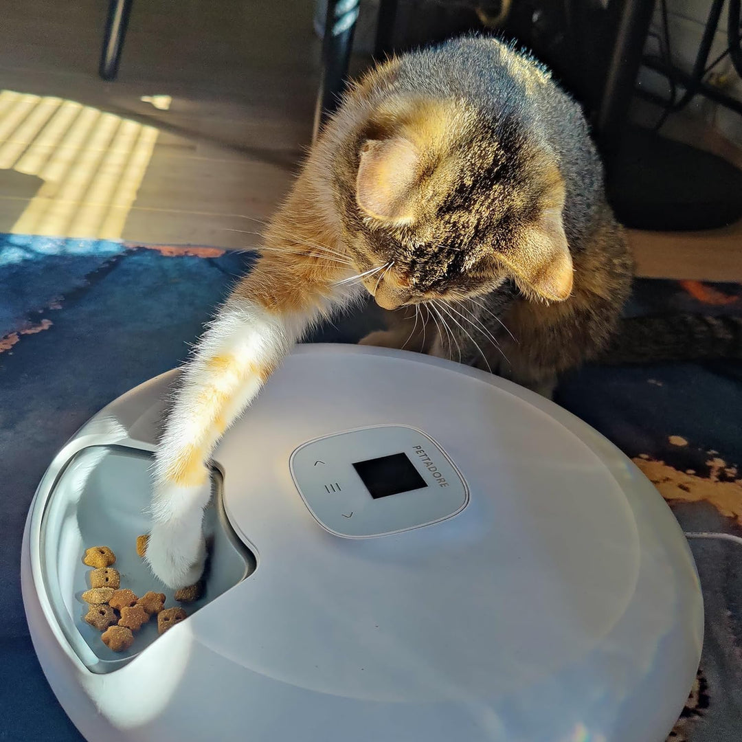 Pettadore Nutri Turn - Futterautomat Katze/Hund - Smart mit App - 6 Mahlzeiten Nass- und Trockenfutt