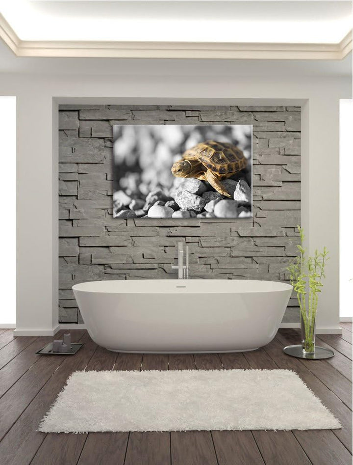 süsse Schildkröte auf Steinen schwarz/weiss Format: 100x70 auf Leinwand, XXL riesige Bilder fertig g
