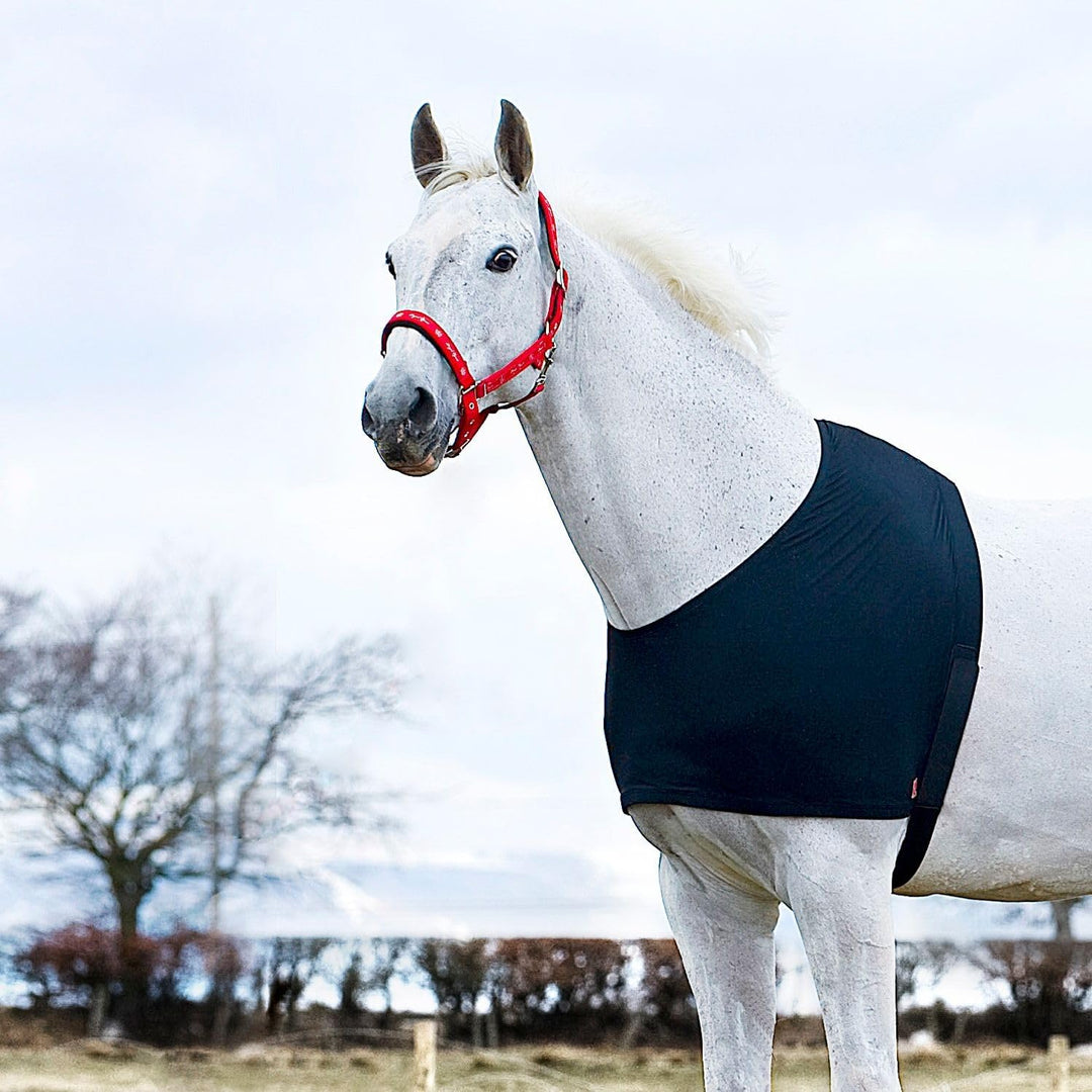 netproshop Weicher Brustschutz Schulterschutz gegen Scheuern Pony/Cob/Full/XLFull, Auswahl:Pony