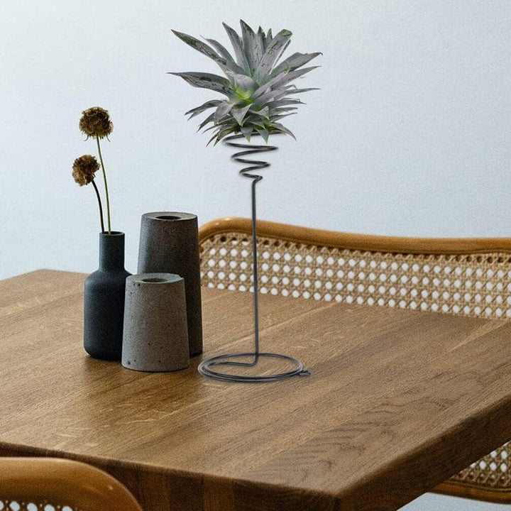 YARNOW 6 Stücke Garten Air for Racks Steht Tillandsia Draht Anzeige Halter Edelstahl Silber Pflanzer