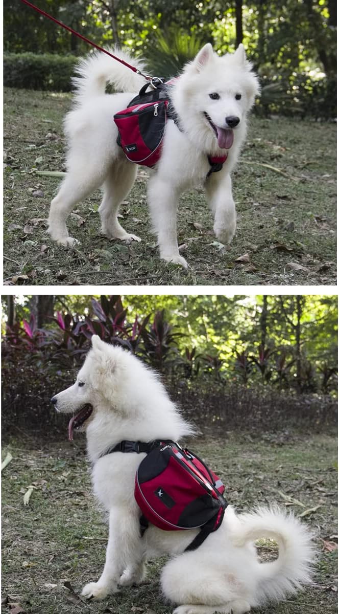 Satteltasche Hunderucksack für Mittlere Grosse Hunde, Packtaschen Rucksack für Reisen Wandern Traini