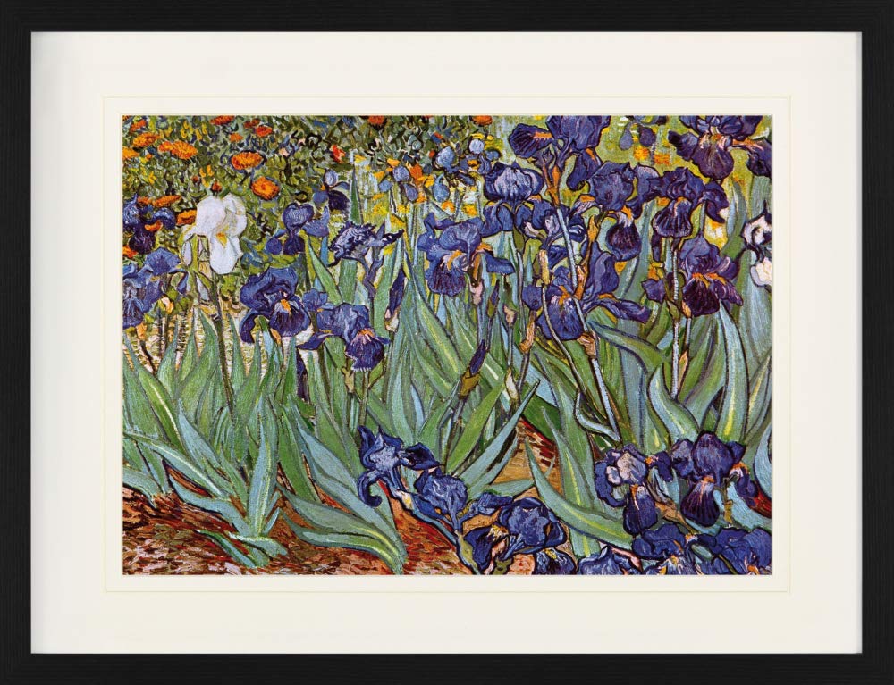 1art1 Vincent Van Gogh Poster Iris,1889 Gerahmtes Bild Mit Edlem Passepartout | Wand-Bilder | Im Bil