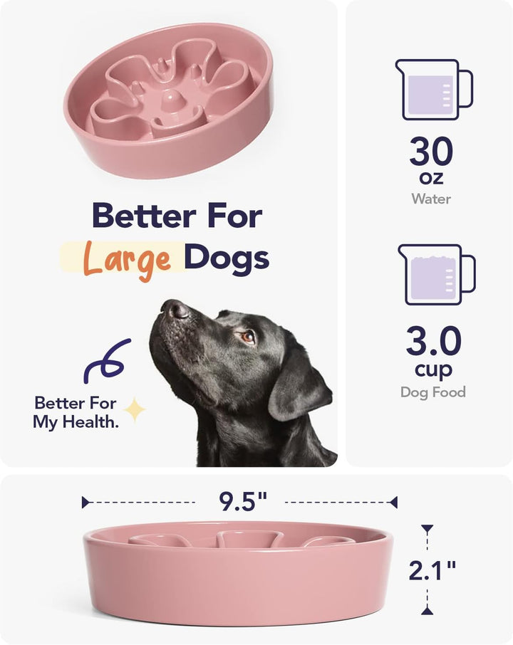 LE TAUCI Hundenapf aus Keramik, Antischlingnapf für Mittelgrosse und Kleine Hunde, Langsam Fressen u
