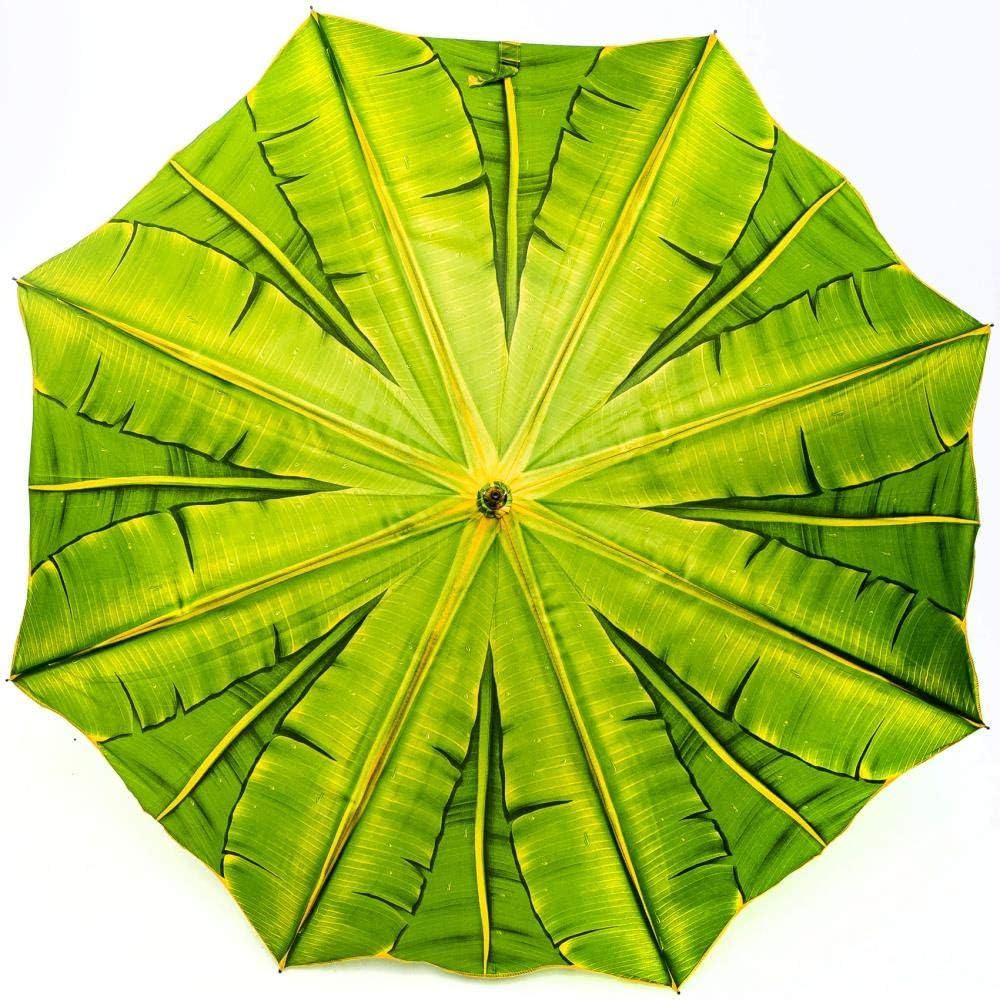 LUCKYWEATHER Regenschirm Stockschirm Damen/Herren Motiv Palme I Stockregenschirm gross und stabil so