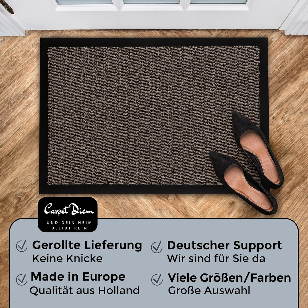 Carpet Diem Fussmatte, einfach sauber I Schmutzfangmatte Eingangsbereich - Fussmatte Innen & Aussen,